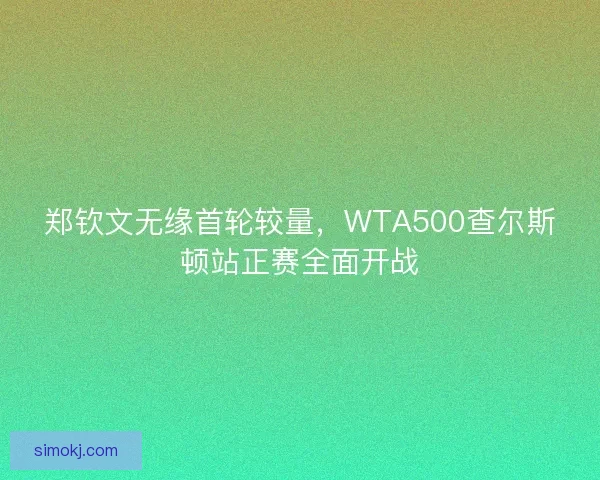 郑钦文无缘首轮较量，WTA500查尔斯顿站正赛全面开战