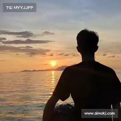 赵鸽